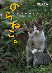 のらねこ。‐震災を越えて‐