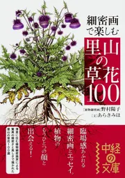 野村陽子　絵葉書集 里山の四季を描く Amazon.co.jp: 野村陽子 絵葉書集 里山の四季を描く : おもちゃ