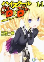 ハイスクールD×D 14 進路指導のウィザード」石踏一榮