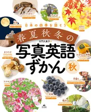 加藤静允　英文春夏秋冬帖 日本の四季を話そう 春夏秋冬の写真英語ずかん 夏」大門久美子