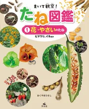 まいて観察！ たね図鑑 1花・やさいのたね ヒマワリ・イネほか」おく