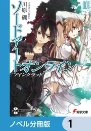 ソードアート・オンライン【ノベル分冊版】 アインクラッド 29