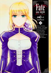 Ｆａｔｅ／ｓｔａｙ　ｎｉｇｈｔ　（２０）