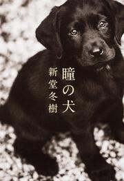 瞳の犬