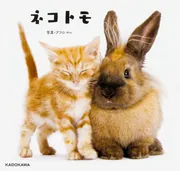 ちび猫※プロフ全文必読※2508W4-1 ちび猫※プロフ全文必読※ ちび猫※プロフ全文必読※2508W4-1