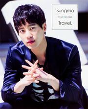 Sungmo Travel.