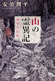 山の霊異記 霧中の幻影