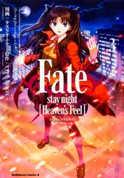 S*C様 Fate stay night Heaven's Feel ダーツライ Fate/stay night [Heaven's Feel](11)」タスクオーナ [角川