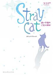 Stray　cat 迷い子猫のご主人様は