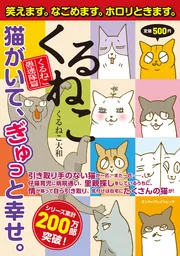 ❤️大量５４個セット★くるねこ大和 新品グッズ付き ＤＶＤ ぬいぐるみコミックス くるねこ くるねこ愚連隊篇」くるねこ大和 [カドカワエンタメムック