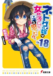 ネトゲの嫁は女の子じゃないと思った？　Lv.18の書影