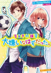 アオハライド、ハニワ、携帯小説など アオハライド、ハニワ、携帯小説など 小説版 アオハライド1
