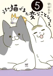 うちの猫がまた変なことしてる。６」卵山玉子 [コミックエッセイ