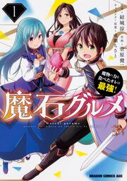 賢者ちゃんは悟ってない 3 菅原 健二 ドラゴンコミックスエイジ Kadokawa