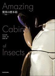驚異の標本箱 －昆虫－」丸山宗利 [ノンフィクション] - KADOKAWA