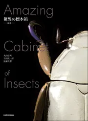 Amazon.co.jp: 神秘の標本箱 ‐昆虫‐ : 丸山 宗利, 吉田 攻一郎