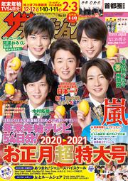 ザテレビジョン　首都圏関東版　２０２０年１２／１８・１２／２５・２０２１年１／１号