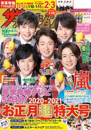 ザテレビジョン　北海道・青森版　２０２０年１２／１８・１２／２５・２０２１年１／１号