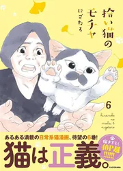 拾い猫のモチャ / ノリ吉のちいさな大冒険 他 / にごたろ Amazon.co.jp: ノリ吉のちいさな大冒険 : にごたろ: 本