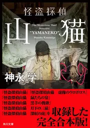 6DVD BOX・怪盗山猫！ Amazon.co.jp: 怪盗 山猫(DVD-BOX) : 亀梨和也, 成宮寛貴, 広瀬すず: DVD