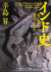 インド史 南アジアの歴史と文化」辛島昇 [角川ソフィア文庫