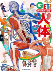 角川の集める図鑑GET！ 星と星座」永田美絵 [学習図鑑] - KADOKAWA