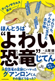 愚連隊伝説 彼らは恐竜のように消えた! ほんとうは“よわい恐竜”じてん それでも、けんめいに生きた