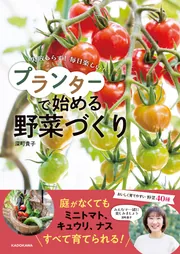 【中古】 プランター・鉢でできる野菜づくり 手づくりの味を楽しむ栽培テクニック/大泉書店/中山草司 □プランター・鉢でできる野菜づくり 中山草司 大泉書店 1987年