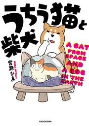 うちう猫と柴犬