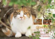 ふくねこです。 SCP-040-JP 