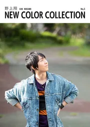仲村宗悟　アクリルブロック 仲村宗悟 NEW COLOR COLLECTION No.5」仲村宗悟 [画集・ファン