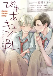 BL まとめ売り②　アンソロジー BL まとめ売り②アンソロジー