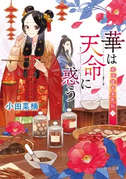月華国奇医伝　複製原画　販促 複製原画】A-Z:[B] -full dress- – IN THE LOOP