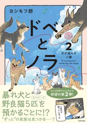 本つげ2本桃1本【椿様オーダー】雀と伏籠 柴犬と肉球 トラ猫＆桜の花 81Gh8jfS70L._AC_UF350,
