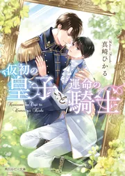 ４点セット★君に届け 運命の人 青いふたり 特装版 ファンブック 4点セット☆君に届け 運命の人 青いふたり 特装版 ファン