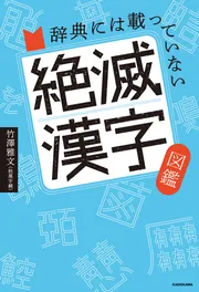 VENGEANCE 2007 日本語字幕版 新品未開封 VENGEANCE 2007 日本語見出し