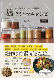 【極美品】極上、手作り料理鮎籠小　 　　　 　　箱無し（鉄網サービス〕 からだがよろこぶ、でも簡単！ 麹でミニマルレシピ Nadia Collection