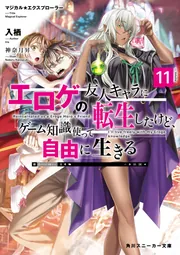 マジカル☆エクスプローラー エロゲの友人キャラに転生したけど