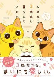 しまねこ3姉妹と暮らしています 深まるきずな編」類 [コミック