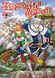 召喚された賢者は異世界を往く　～最強なのは不要在庫のアイテムでした～　12