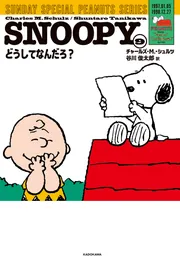 雑誌　月刊　SNOOPY　72年03月号~74年03月号　別冊含む26冊 SNOOPY(9) SUNDAY SPECIAL PEANUTS SERIES どうしてなんだろ