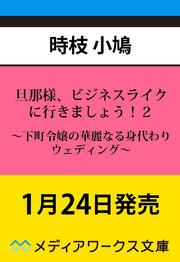 旦那様、ビジネスライクに行きましょう！２ ～下町令嬢の華麗なる身代わりウェディング～