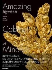 めちゃ珍しくて可愛いオレンジに白のエッグファントム/鉱物標本