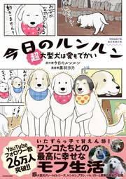 今日のルンルン 超大型犬は愛もでかい