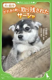 美の猟犬: 安宅コレクション余聞