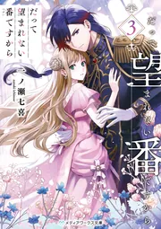 ◇24◇ 勿体な 弘法大師(空海)掛軸☆茶表装20代☆真言宗用【