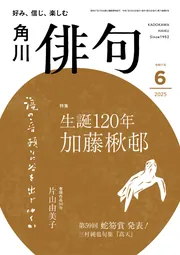 Amazon.co.jp: 俳句がよくわかる文法講座: 詠む・読むための