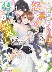 ビーズログ文庫