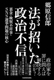 法が招いた政治不信 裏金・検察不祥事・SNS選挙問題の核心」郷原信郎