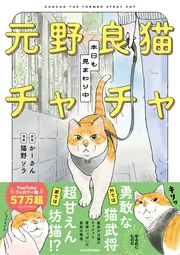 ねこページ ヤノベケンジ×タカラスタンダード「SHIP'S CAT (Mirror)」発売